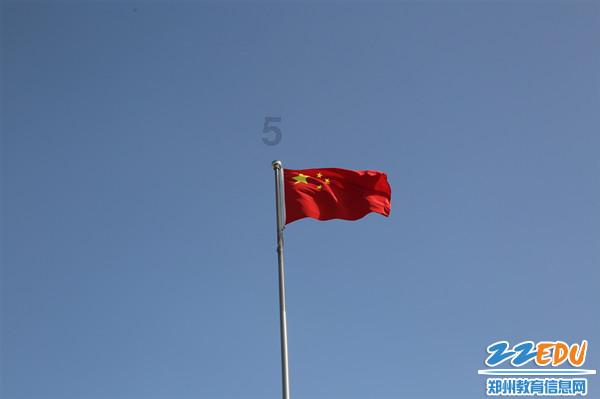 逗小猴开心系列209